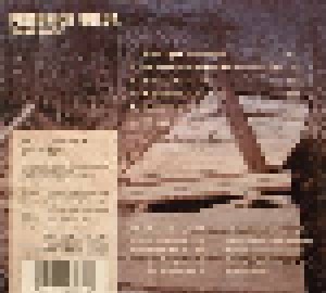 Friedrich Gulda: Wann I Geh' (CD) - Bild 2