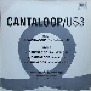 Us3: Cantaloop (12") - Bild 2