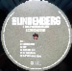Udo Lindenberg & Das Panikorchester: Sister King Kong (LP) - Bild 4