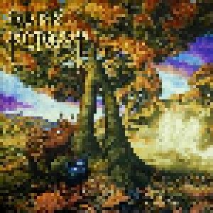 Dark Forest: Beyond The Veil (2-LP) - Bild 1