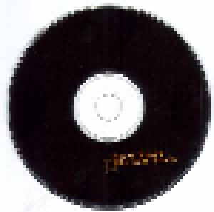 Steve Roach: The Lost Pieces (CD) - Bild 4