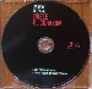 Enrique Iglesias: Duele El Corazon (Single-CD) - Bild 3