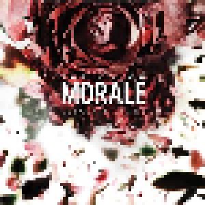 The Color Morale: Desolate Divine (CD) - Bild 1