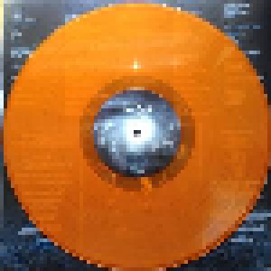 Devin Townsend Project: Transcendence (2-LP + CD) - Bild 3