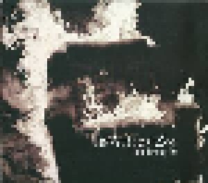 Final Horizon: Long Lasting Fire (CD) - Bild 1