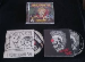 Abstürzende Brieftauben: Doofgesagte Leben Länger (LP + CD + Demo-CD + Mini-CD / EP) - Bild 3
