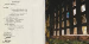 Yann Tiersen: L'Absente (CD) - Bild 7