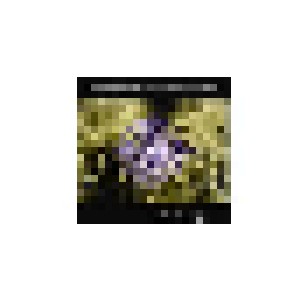 Jester's Funeral: Quicksilverlight (CD) - Bild 1