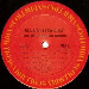 Blue Öyster Cult: Fire Of Unknown Origin (LP) - Bild 4