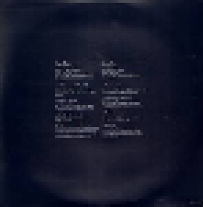 Rufus Wainwright: Vibrate - The Best Of (2-LP) - Bild 8