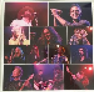 George Fest: A Night To Celebrate The Music Of George Harrison (3-LP) - Bild 5