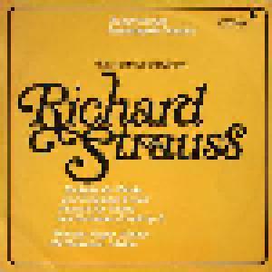Richard Strauss: Burleske Für Klavier Und Orchester D-Moll / Konzert Für Violine Und Orchester D-Moll Op.8 - Cover
