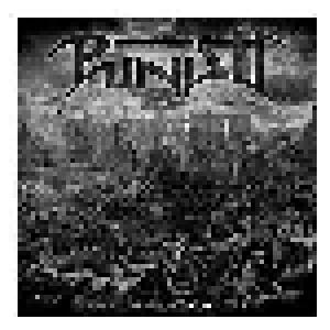 Punish: Sublunar Chaos - Cover