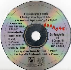 Karaoke: Der Partyknüller Mit 16 Original Hits & Playbacks Zum Mitsingen (2-CD) - Bild 3