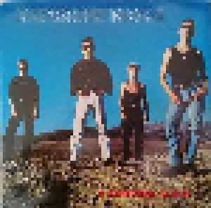 Depeche Mode: Personal Album, A - Cover