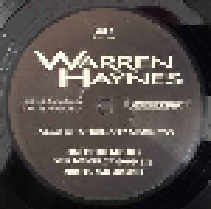 Warren Haynes: Tales Of Ordinary Madness (2-LP) - Bild 3