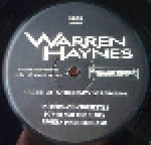 Warren Haynes: Tales Of Ordinary Madness (2-LP) - Bild 6