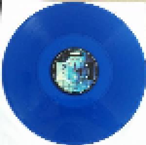 Porcupine Tree: Fear Of A Blank Planet (2-LP) - Bild 2