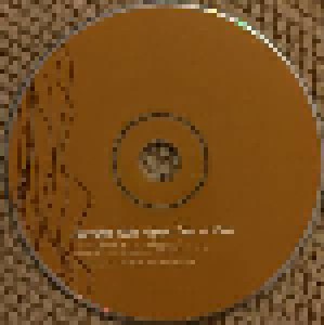 Damien Rice: Woman Like A Man (Single-CD) - Bild 3