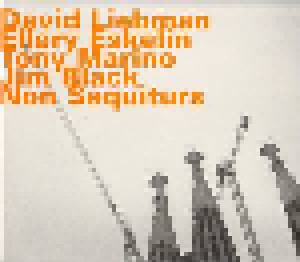 David Liebman, Ellery Eskelin, Tony Marino, Jim Black: Non Sequiturs (CD) - Bild 1