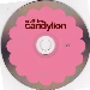 Gruff Rhys: Candylion (CD) - Bild 3