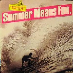 Cover - Jan & Dean: "Summer Means Fun"  Californian Surf Music 1962-1974