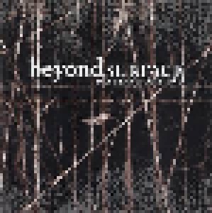 Beyond Surface: Destination's End (CD) - Bild 1