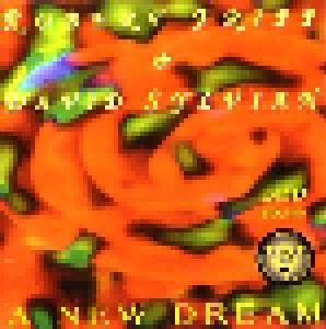 David Sylvian & Robert Fripp: New Dream, A - Cover