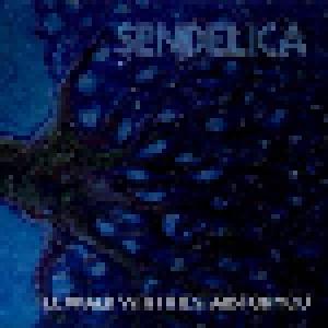 Sendelica: I'll Walk With The Stars For You (LP) - Bild 1