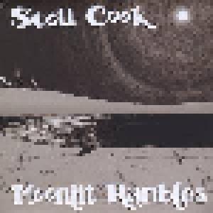 Cover - Scott Cook: Moonlit Rambles