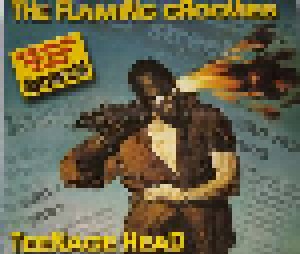The Flamin' Groovies: Teenage Head (CD) - Bild 1