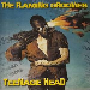 The Flamin' Groovies: Teenage Head (CD) - Bild 2