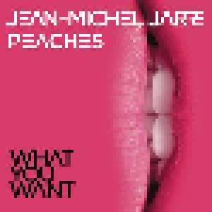 Jean Michel Jarre & Peaches: What You Want (7") - Bild 1