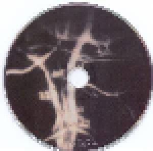 Allseits: Chimäre (CD) - Bild 3