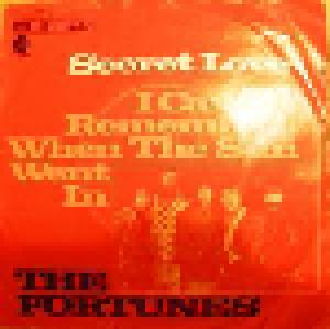The Fortunes: Secret Love - Cover