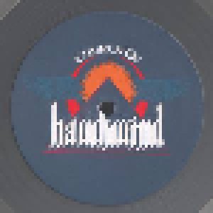 Hawkwind: Church Of Hawkwind (2-LP) - Bild 3