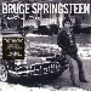 Bruce Springsteen + Bruce Springsteen Band, The + Castiles, The + Steel Mill: Chapter And Verse (Split-2-LP) - Bild 1
