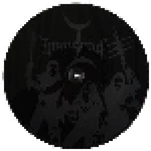 Immortal: Sons Of Northern Darkness (2-LP) - Bild 3