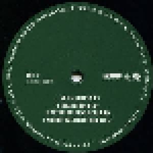 DJ Shadow: Endtroducing..... (6-LP) - Bild 6