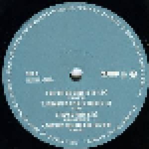 DJ Shadow: Endtroducing..... (6-LP) - Bild 8