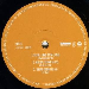 DJ Shadow: Endtroducing..... (6-LP) - Bild 10