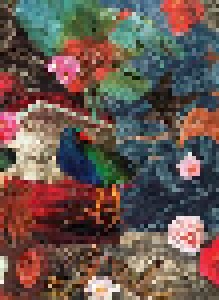Merzbow: Takahe Collage (CD) - Bild 1