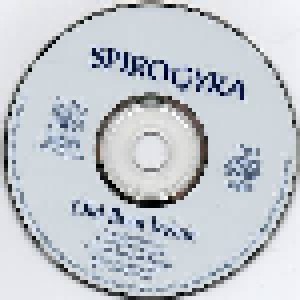 Spirogyra: Old Boot Wine (CD) - Bild 3