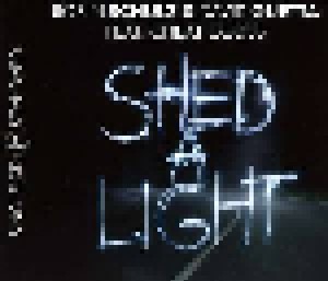 Cover - Robin Schulz & David Guetta Feat. Cheat Codes: Shed A Light