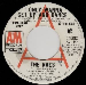 The Raes: I Only Wanna Get Up And Dance (Promo-7") - Bild 2