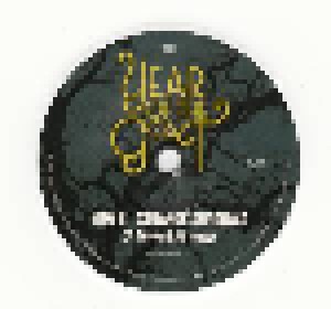 Year Of The Goat: Song Of Winter (7") - Bild 4