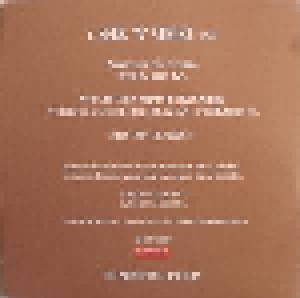 Soulfly: Seek'n'Strike (Promo-Single-CD) - Bild 2