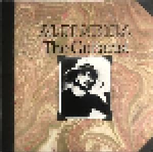Al Di Meola: The Guitarist (LP) - Bild 1