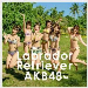 AKB48: Labrador Retriever (Single-CD + DVD) - Bild 1