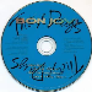 Bon Jovi: These Days (Single-CD) - Bild 3